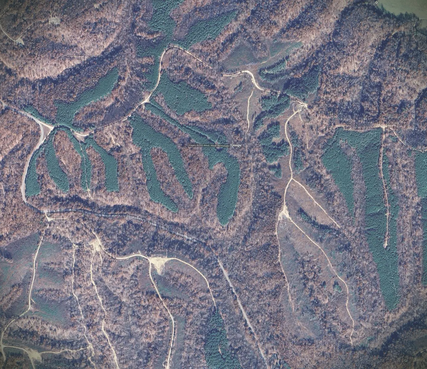 Aerial site plan of Rustic Pines at Paris Landing showing all 41 lots