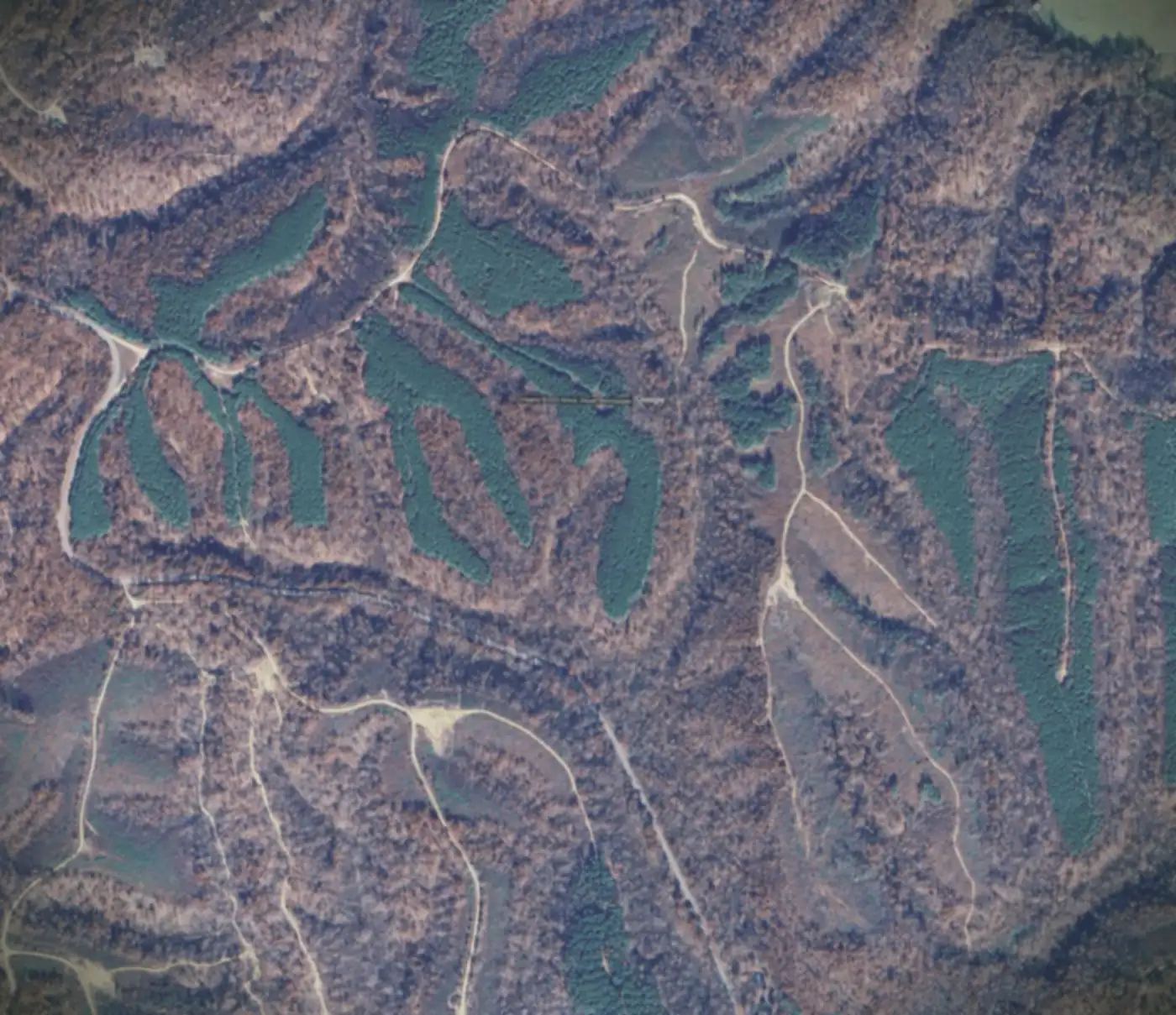 Aerial view of the wooded Rustic Pines at Paris Landing subdivision in Stewart County, Tennessee